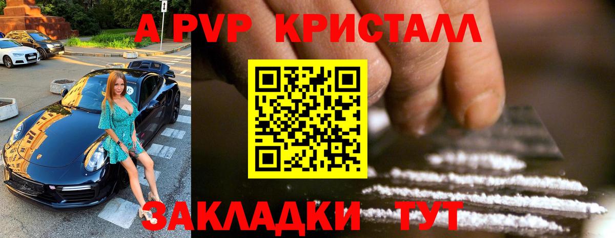 Альфа ПВП СК КРИС Мытищи