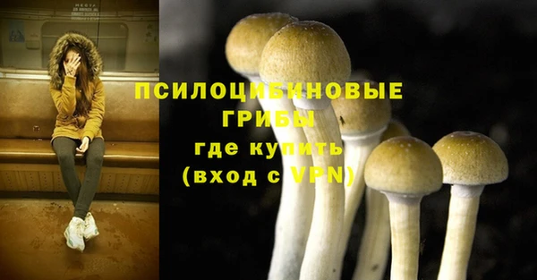 дурь Наволоки