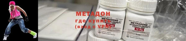 шишки Белая Холуница