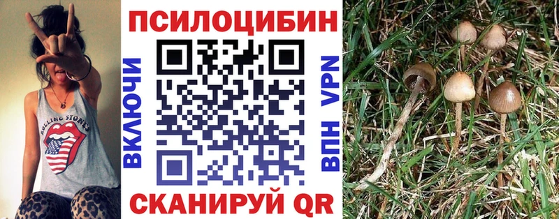 blacksprut вход Мытищи Галлюциногенные грибы ЛСД где можно купить наркотик