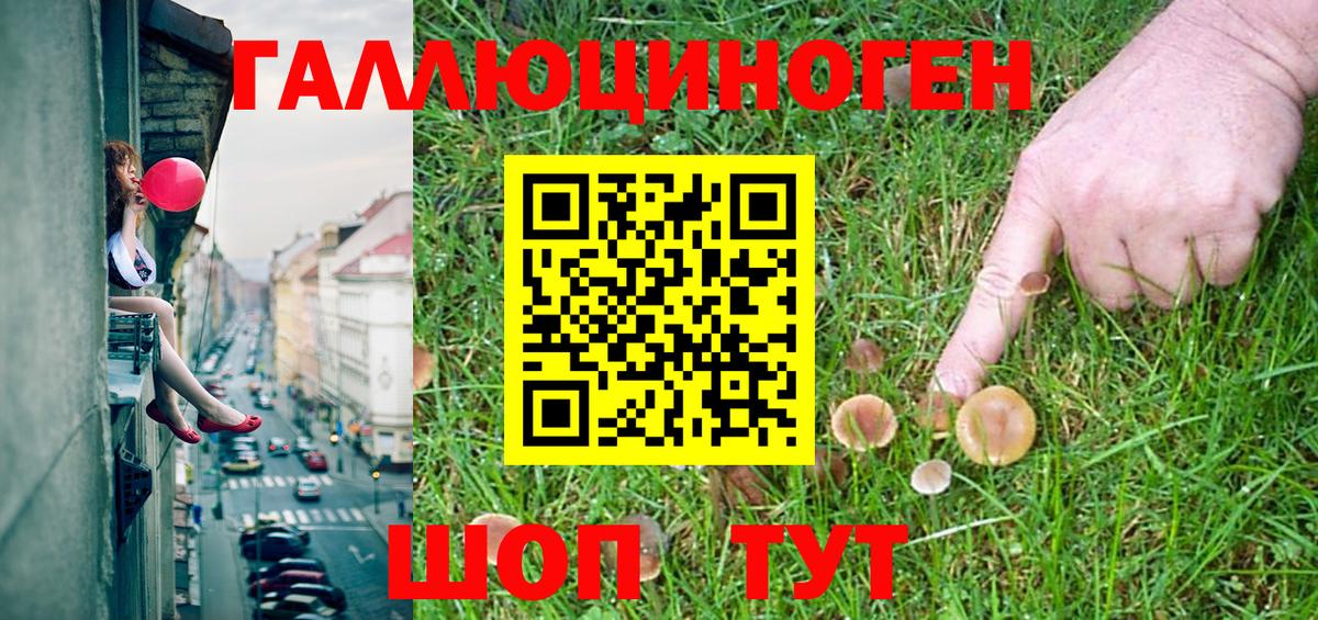 Мытищи  Псилоцибиновые грибы Magic Shrooms  Вход с VPN 