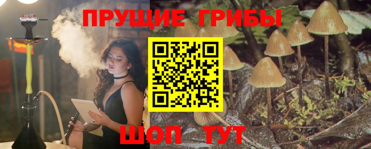 Галлюциногенные грибы Psilocybe  Мытищи  Псилоцибиновые грибы Cubensis 