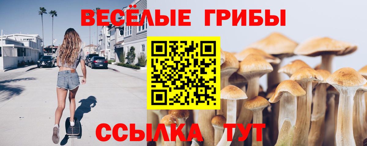 Псилоцибиновые грибы мухоморы Мытищи